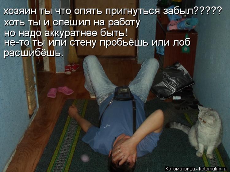 Котоматрица: хозяин ты что опять пригнуться забыл????? хоть ты и спешил на работу но надо аккуратнее быть! не-то ты или стену пробьёшь или лоб расшибёшь.