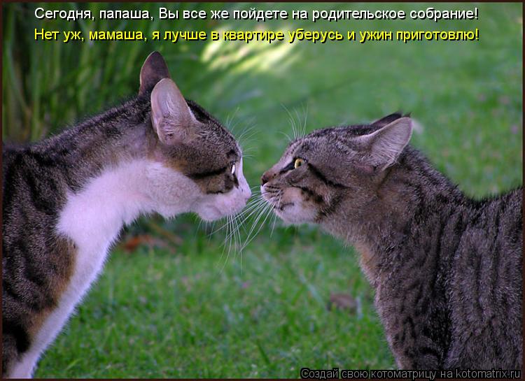Котоматрица: Сегодня, папаша, Вы все же пойдете на родительское собрание! Нет уж, мамаша, я лучше в квартире уберусь и ужин приготовлю!