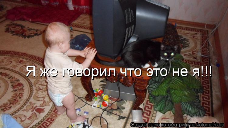 Я же говорил что это не я!!!... Котоматрица: Я же говорил что это не я!!!