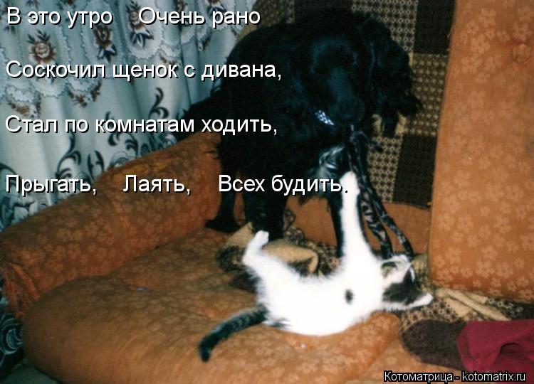 Котоматрица: Стал по комнатам ходить,     Прыгать,    Лаять,    Всех будить. Соскочил щенок с дивана,     В это утро    Очень рано