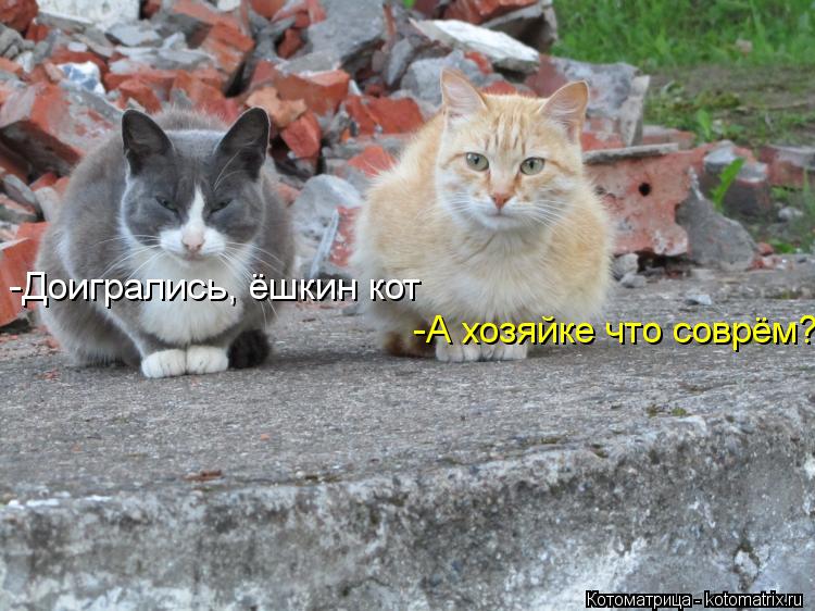Котоматрица: -Доигрались, ёшкин кот  -А хозяйке что соврём?