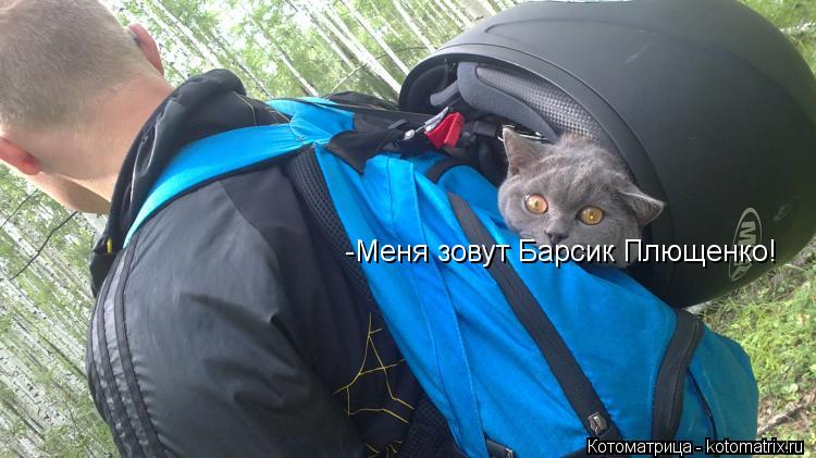 Котоматрица: -Меня зовут Барсик Плющенко!