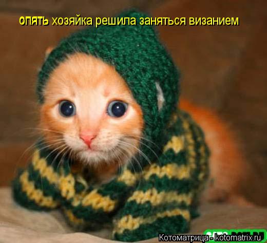 Котоматрица: опять  опять хозяйка решила заняться визанием