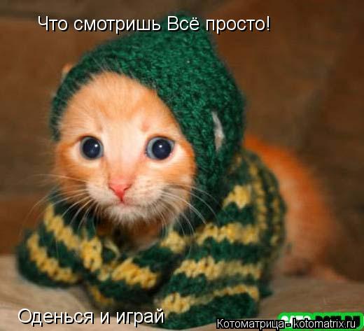 Котоматрица: Что смотришь Всё просто! Оденься и играй
