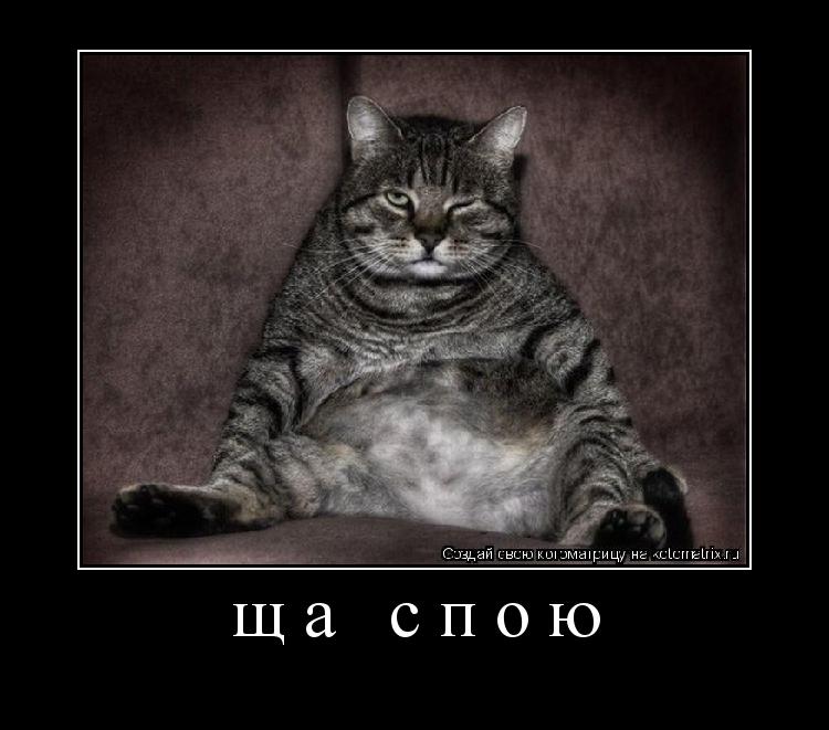 Котоматрица: ща спою 