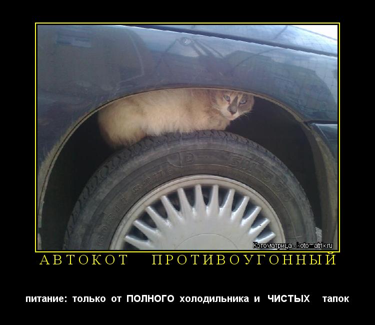 Котоматрица: АВТОКОТ   ПРОТИВОУГОННЫЙ питание:  только  от  ПОЛНОГО  холодильника  и   ЧИСТЫХ     тапок