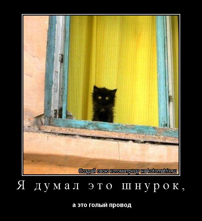 Котоматрица: Я думал это шнурок,  а это голый провод