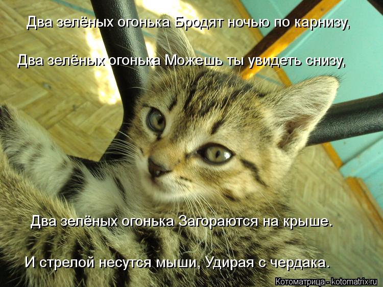 Котоматрица: Два зелёных огонька Бродят ночью по карнизу,    Два зелёных огонька Можешь ты увидеть снизу,    Два зелёных огонька Загораются на крыше.      И с