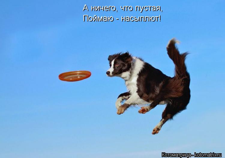 Котоматрица: А ничего, что пустая, Поймаю - насыплют!