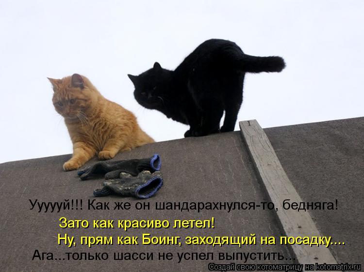 Котоматрица: Уууууй!!! Как же он шандарахнулся-то, бедняга! Зато как красиво летел!  Ну, прям как Боинг, заходящий на посадку.... Ага...только шасси не успел в