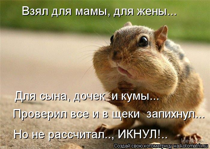 Котоматрица: Взял для мамы, для жены... Для сына, дочек  и кумы... Но не рассчитал.., ИКНУЛ!.. Проверил все и в щеки  запихнул...