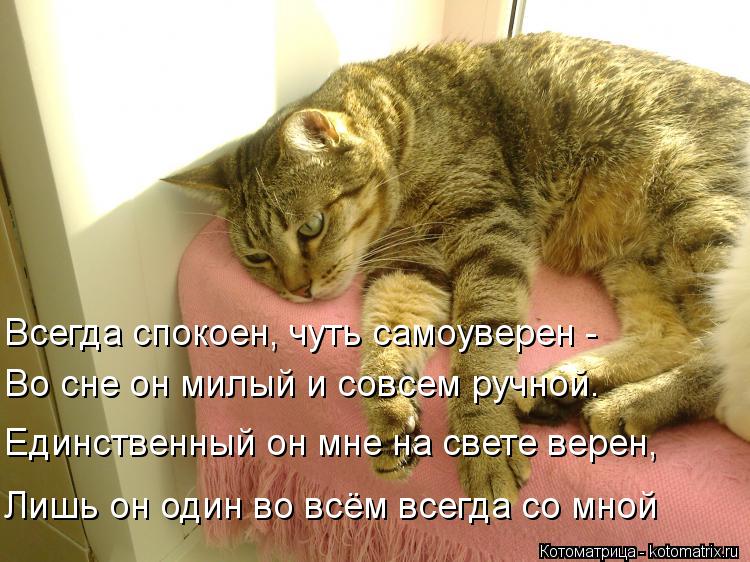 Котоматрица: Всегда спокоен, чуть самоуверен -    Во сне он милый и совсем ручной.   Единственный он мне на свете верен,    Лишь он один во всём всегда со мной