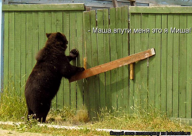 Котоматрица: - Маша,впути меня это я Миша!