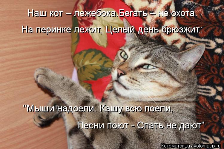 Котоматрица: Наш кот – лежебока.Бегать – не охота.    На перинке лежит, Целый день брюзжит:    "Мыши надоели. Кашу всю поели,    Песни поют - Спать не дают"
