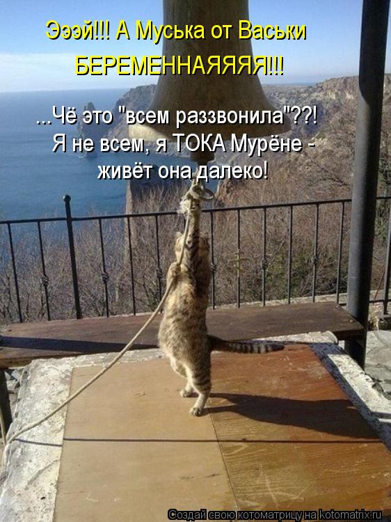 Котоматрица: Эээй!!! А Муська от Васьки  БЕРЕМЕННАЯЯЯЯ!!! ...Чё это "всем раззвонила"??! Я не всем, я ТОКА Мурёне -  живёт она далеко!