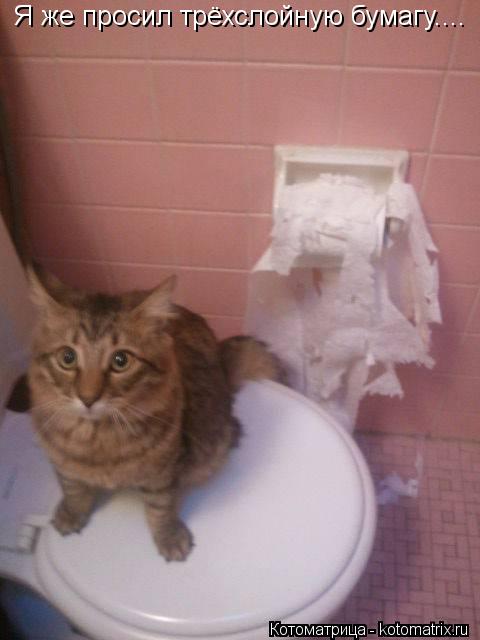 Котоматрица: Я же просил трёхслойную бумагу....