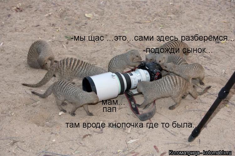 Котоматрица: мам... пап там вроде кнопочка где то была... -подожди сынок... -мы щас ...это...сами здесь разберёмся...