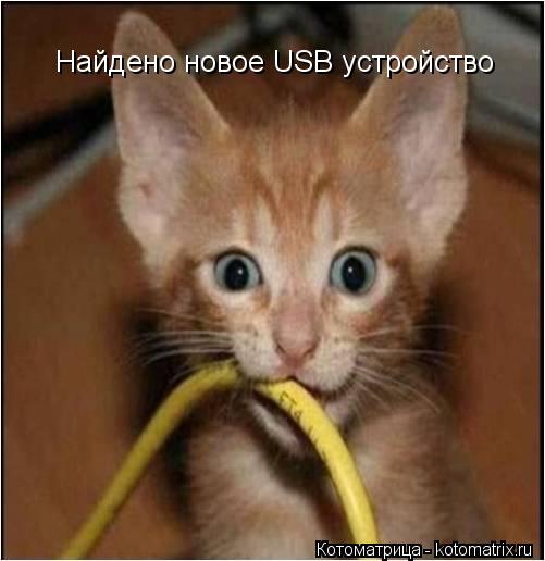 Котоматрица: Найдено новое USB устройство