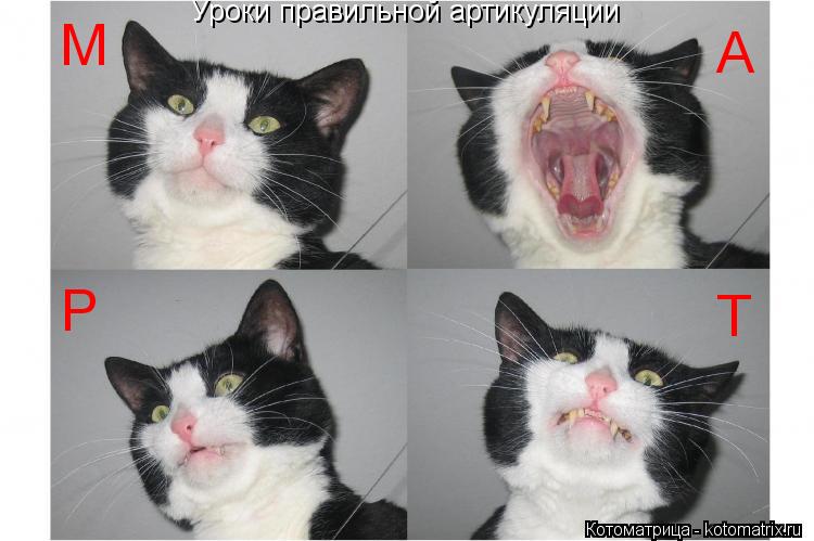 Котоматрица: Уроки правильной артикуляции М А Р Т