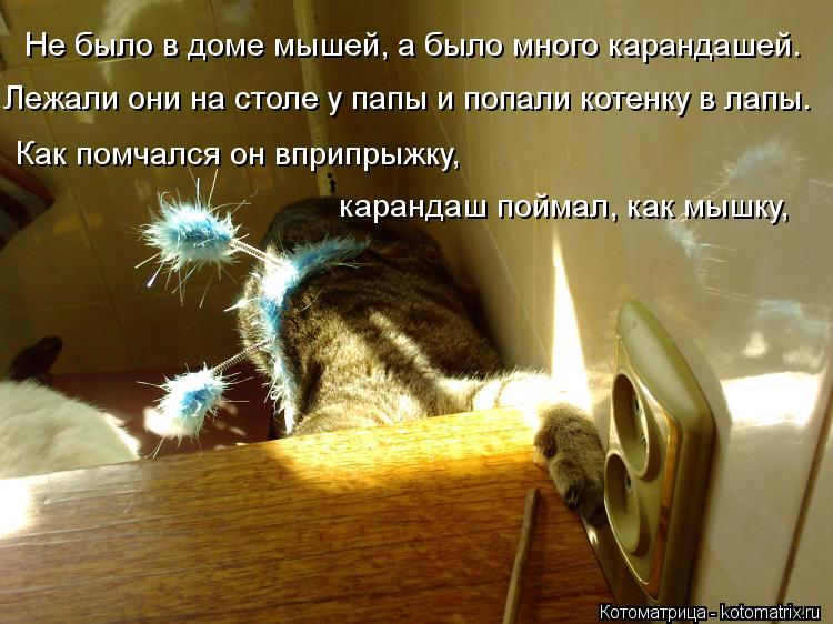 Котоматрица: Не было в доме мышей, а было много карандашей.  Лежали они на столе у папы и попали котенку в лапы.  Как помчался он вприпрыжку,  карандаш пойм