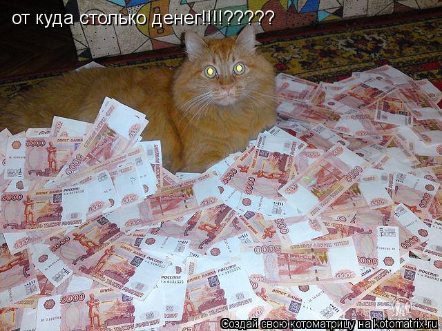 от куда столько денег!!!!?????... Котоматрица: от куда столько денег!!!!?????