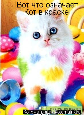 Вот что означает Кот в краске!... Котоматрица: Вот что означает Кот в краске!