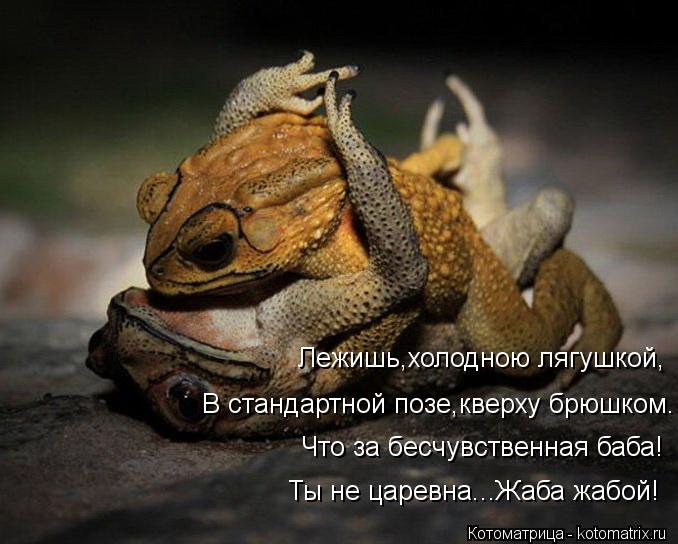 Котоматрица: Лежишь,холодною лягушкой, В стандартной позе,кверху брюшком. Что за бесчувственная баба! Ты не царевна...Жаба жабой!
