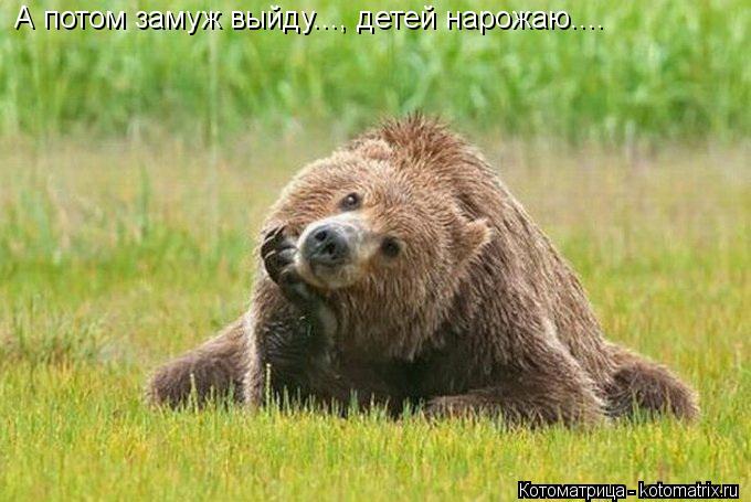 Котоматрица: А потом замуж выйду..., детей нарожаю....