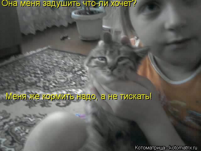 Котоматрица: Она меня задушить что-ли хочет? Меня же кормить надо, а не тискать!