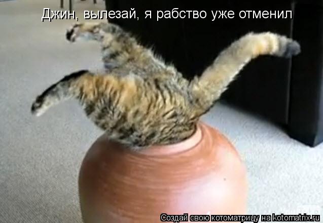 Котоматрица: Джин, вылезай, я рабство уже отменил