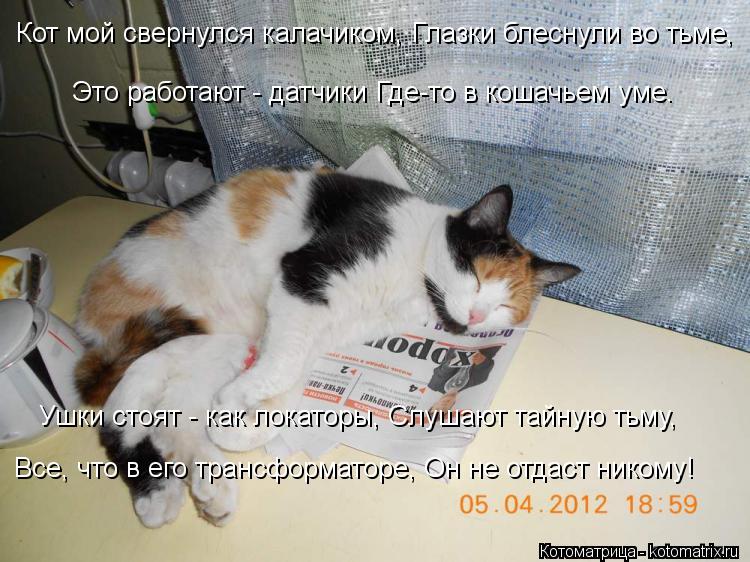 Котоматрица: Кот мой свернулся калачиком, Глазки блеснули во тьме,     Это работают - датчики Где-то в кошачьем уме.       Ушки стоят - как локаторы, Слушают та