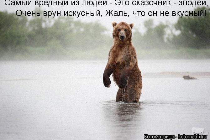 Котоматрица: Самый вредный из людей - Это сказочник - злодей, Очень врун искусный, Жаль, что он не вкусный!  Очень врун искусный, Жаль, что он не вкусный!