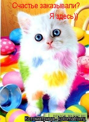 Котоматрица: Cчастье заказывали? Я здесь)) Cчастье заказывали? Cчастье заказывали?