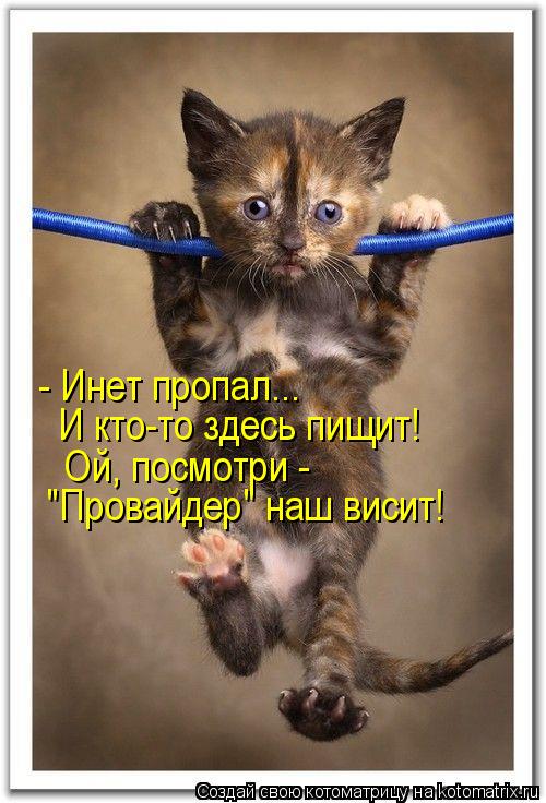 - Инет пропал... И кто-то здесь пищит! Ой, посмотри - "Провайдер" наш висит!... Котоматрица: - Инет пропал... И кто-то здесь пищит! Ой, посмотри - "Провайдер" наш висит!