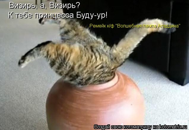 Котоматрица: Визирь, а, Визирь? К тебе принцесса Буду-ур! Ремейк к/ф "Волшебная лампа Аладдина"
