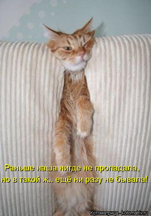 но в такой ж.. ещё ни разу не бывала! Раньше наша нигде не пропадала,... Котоматрица: но в такой ж.. ещё ни разу не бывала! Раньше наша нигде не пропадала,