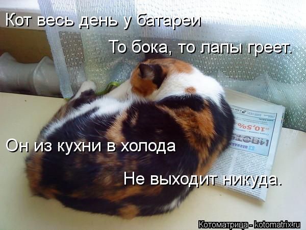 Котоматрица: Кот весь день у батареи    То бока, то лапы греет.    Он из кухни в холода    Не выходит никуда.