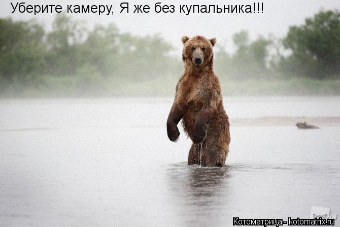 Котоматрица: Уберите камеру, Я же без купальника!!!