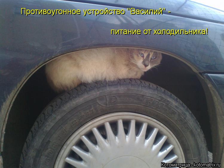 Котоматрица: Противоугонное устройство "Василий" - питание от холодильника!