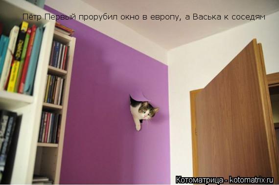 Котоматрица: Пётр Первый прорубил окно в европу, а Васька к соседям