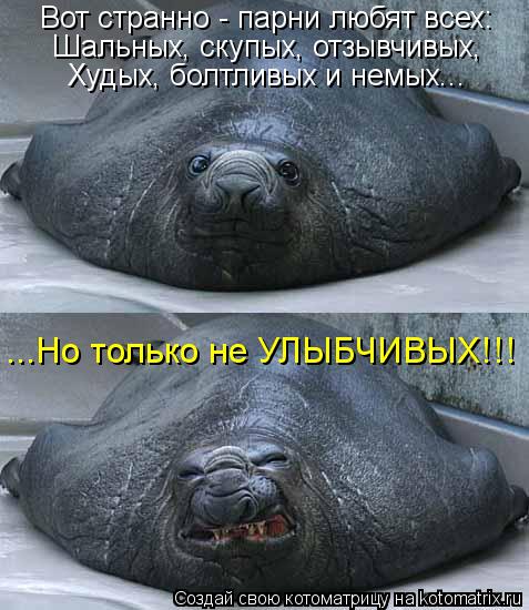 Котоматрица: Вот странно - парни любят всех: Шальных, скупых, отзывчивых, Худых, болтливых и немых... ...Но только не УЛЫБЧИВЫХ!!!