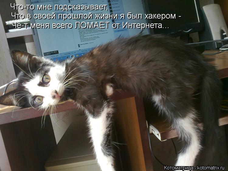 Котоматрица: Что-то мне подсказывает,  Что в своей прошлой жизни я был хакером - Че-т меня всего ЛОМАЕТ от Интернета...