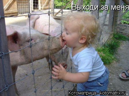 Котоматрица: - Выходи за меня