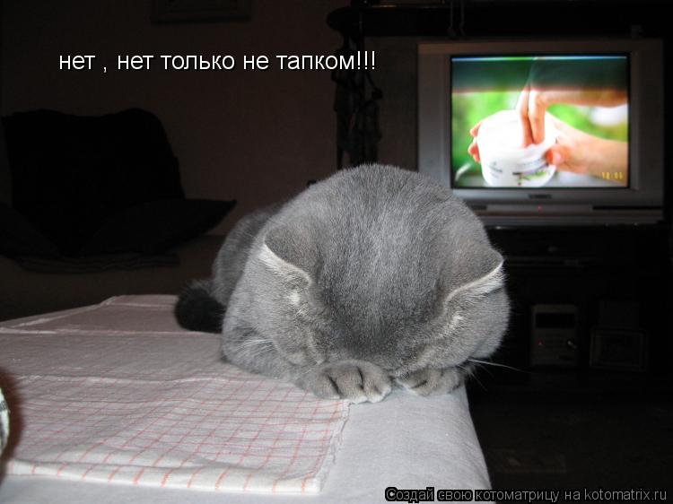 Котоматрица: нет , нет только не тапком!!!