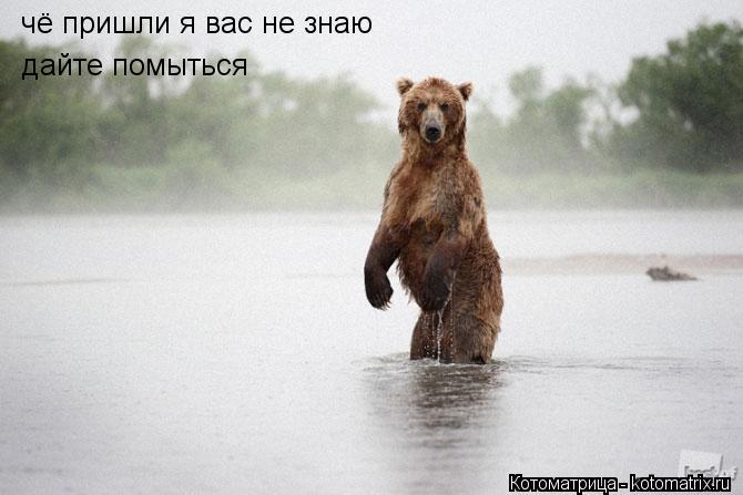 Котоматрица: чё пришли я вас не знаю дайте помыться дайте помыться