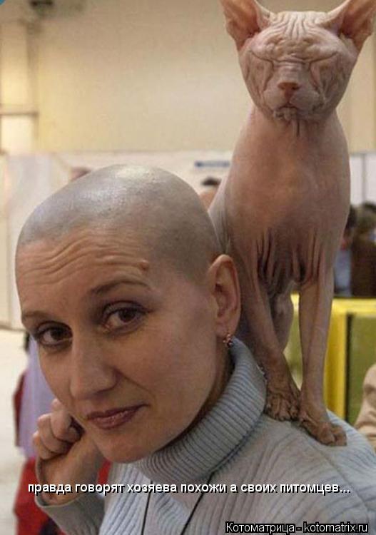 правда говорят хозяева похожи а своих питомцев...... Котоматрица: правда говорят хозяева похожи а своих питомцев...
