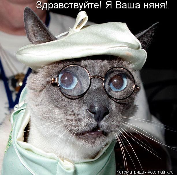 Котоматрица: Здравствуйте! Я Ваша няня!