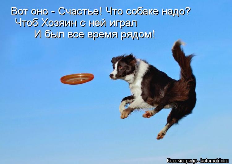 Котоматрица: Вот оно - Счастье! Что собаке надо? Чтоб Хозяин с ней играл  И был все время рядом!