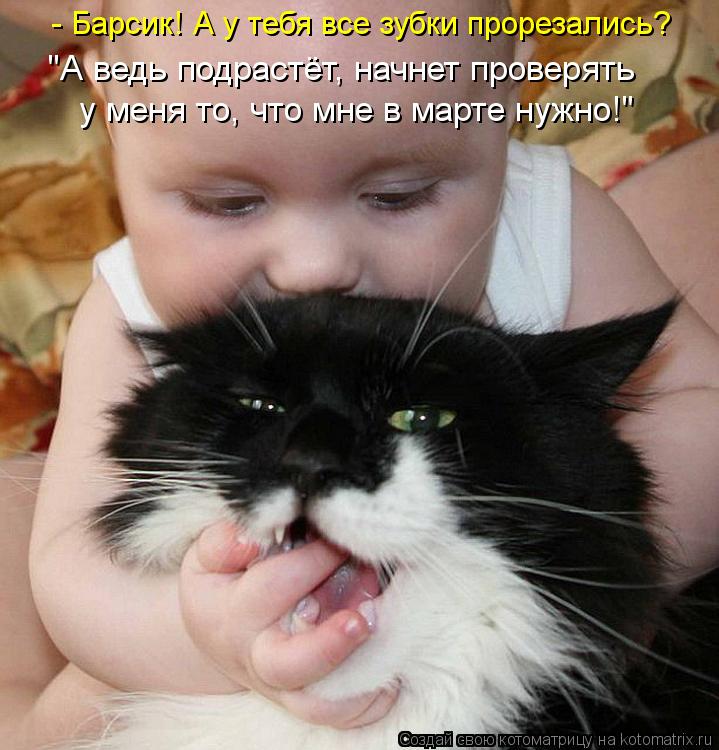 Котоматрица: - Барсик! А у тебя все зубки прорезались? у меня то, что мне в марте нужно!" "А ведь подрастёт, начнет проверять