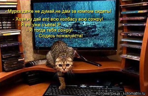 Котоматрица: - Мурка,даже не думай,не дам за компом сидеть! - Хозя,ну дай ато всю колбасу всю сожру! - Я её уже съела!:Р - Я тогда тебя сожру! - Содись пожалуйст